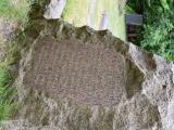 image of grave number 928048